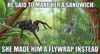 Female spiders are the stronger, more powerful ones. Making them a good female empowerment symbal. 