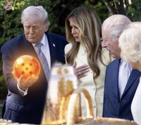Trump dragon ball