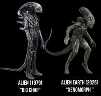 ALIEN (1979) “BIG CHAP” 究 ALIEN EARTH (2025) “XENOMORPH ”