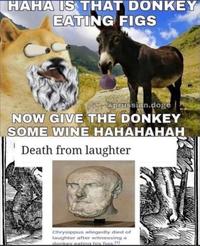 HAHA IS THAT DONKEY EATING FIGS @prussian.doge NOW GIVE THE DONKEY SOME WINE HAHAHAHAH Death from laughter Chrysippus allegedly died of laughter after witnessing a donkey eating his figs. 1