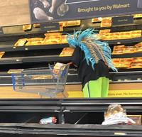 Antibiotics Brought to you by Walmart Grain-Fed tions ever. No hormone