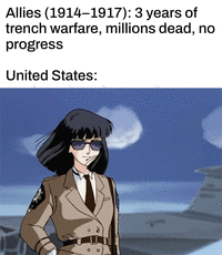 Allies (1914-1917): 3 years of trench warfare, millions dead, no progress United States:
