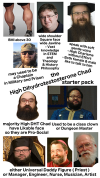BMI above 30 may used to be a Chaplain wide shoulder Square face wide Jawline - Vast knowledge in STEM and Theology & History Philosophy in Military and Prison the speak with soft gentle voice - High Charisma without Effort - Both female & male like to talk to him High Dihydrotestosterone Chad starter pack majority High DHT Chad Used to be a class clown have Likable face so they are Pro-Social or Dungeon Master either Universal Daddy Figure (Priest) or Manager, Engineer, Nurse, Musician, Artist
