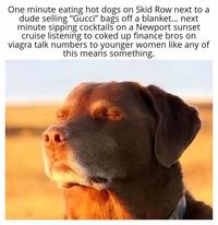 One minute eating hot dogs on Skid Row next to a dude selling "Gucci" bags off a blanket... next minute sipping cocktails on a Newport sunset cruise listening to coked up finance bros on viagra talk numbers to younger women like any of this means something.