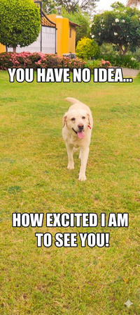 YOU HAVE NO IDEA.... HOW EXCITED I AM TO SEE YOU!