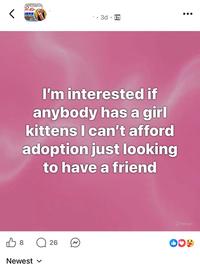 lo • 3d. I'm interested if anybody has a girl kittens I can't afford adoption just looking to have a friend O Meta Al 8 ☐ 26 Newest ✓ DO