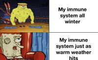 My immune system all winter My immune system just as warm weather hits