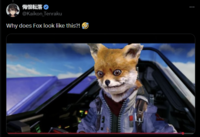 why does fox look like this