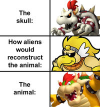 The skull: How aliens would reconstruct the animal: The animal: