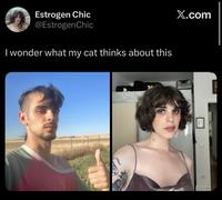 Estrogen Chic @EstrogenChic I wonder what my cat thinks about this X.com e