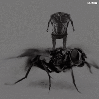 LUMA