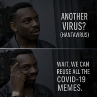 ANOTHER VIRUS? (HANTAVIRUS) WAIT, WE CAN REUSE ALL THE COVID-19 MEMES.