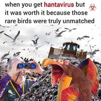 when you get hantavirus but it was worth it because those rare birds were truly unmatched