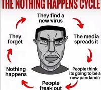 THE NOTHING HAPPENS CYCLE They find a new virus They forget Nothing happens People freak out The media spreads it People think its going to be a new pandamic