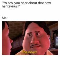 "Yo bro, you hear about that new hantavirus?" Me: The what?