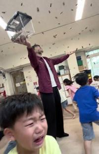 나는 메뚜기의 종류를 100가지 이상 알고 있다 아센 파브르 공익