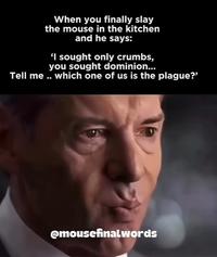 When you finally slay the mouse in the kitchen and he says: 'I sought only crumbs, you sought dominion... Tell me .. which one of us is the plague?' @mousefinalwords