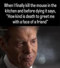 When I finally kill the mouse in the kitchen and before dying it says, "How kind is death to greet me with a face of a friend" TheLastRide
