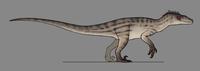 Jurassic park 3 velociraptor 