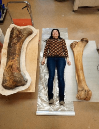 Two bones
