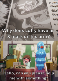 213317 31012 G ح الله IM'S Why does Luffy have an X mark on his arm? Jane Doe WEJ Photo Editor Hello, can you please help me with something?