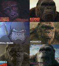 SKULL ISLAND THE BIRTH OF KONG KONG SKULL ISLAND SKULL ISLAND MONARCH LEGACY OF MONSTERS ONE WILL FALL GODZILLA KONG GODZILLA KONG THE NEW EMPIRE