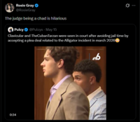 Rosie Gray @RosieGray The judge being a chad is hilarious Pulcy @Pulcys - May 15 Clavicular and TheCubanTarzan were seen in court after avoiding jail time by accepting a plea deal related to the Alligator incident in march 2026 0:24
