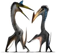 Quetzalcoatlus 
