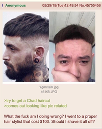 Anonymous 05/29/18(Tue)12:49:54 No.45755456 YgmcQiK.jpg 46 KB JPG >try to get a Chad haircut >comes out looking like pic related What the f--- am I doing wrong? I went to a proper hair stylist that cost $100. Should I shave it all off?