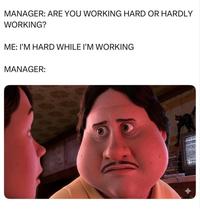 MANAGER: ARE YOU WORKING HARD OR HARDLY WORKING? ME: I'M HARD WHILE I'M WORKING MANAGER: