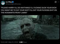 A parody of Homelander's death in The Boys. The parody is based on Harry Potter.
