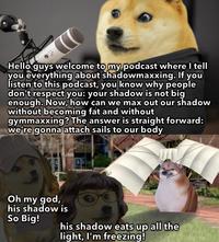 Hello guys welcome to my podcast where I tell you everything about shadowmaxxing. If you listen to this podcast, you know why people don't respect you: your shadow is not big enough. Now, how can we max out our shadow without becoming fat and without gymmaxxing? The answer is straight forward: we're gonna attach sails to our body Oh my god, his shadow is So Big! his shadow eats up all the light, I'm freezing!