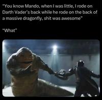 "You know Mando, when I was little, I rode on Darth Vader's back while he rode on the back of a massive dragonfly, s--- was awesome" "What"