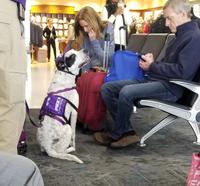 PET ME PHX NAVIGAT