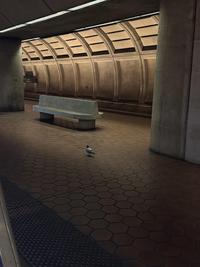 DC metro