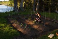 Gardening