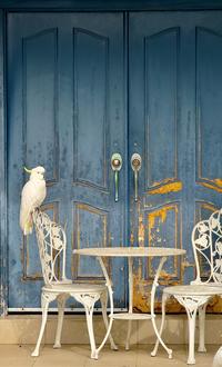 Waiting for breakfast
