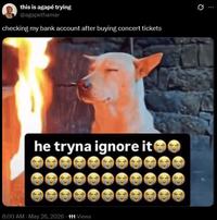 this is agapé trying @agapethamar checking my bank account after buying concert tickets he tryna ignore it 8:00 AM - May 26, 2026 111 Views B