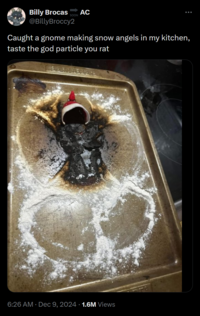 Caught a gnome making snow angels in my kitchen, taste the god particle you rat