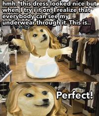 hmh. this dress looked nice but when I try i it on, I realize that everybody can see my underwear through it. This is.. Perfect!
