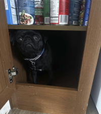 In the cupboard