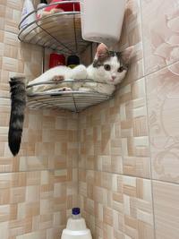 In the shower