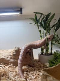 So comfy
