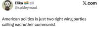 Elika X.com @spideymaul American politics is just two right wing parties calling eachother communist
