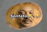 Sontato
