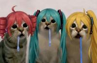 Vocaloid Cats Drooling