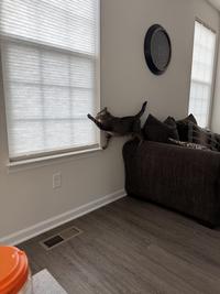 Why?