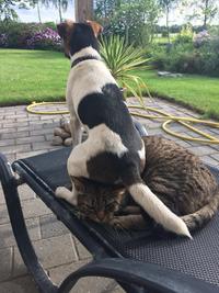 Soft seat