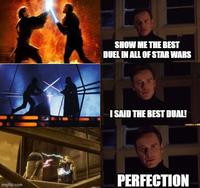 SHOW ME THE BEST DUEL IN ALL OF STAR WARS I SAID THE BEST DUAL! imgflip.com PERFECTION