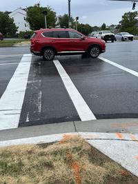 Trying to cross the street